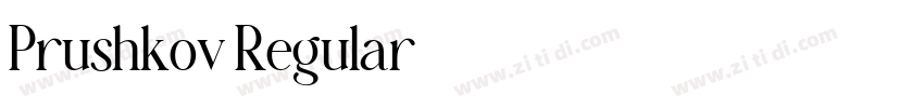 Prushkov Regular字体转换 Prushkov Regular字体转换